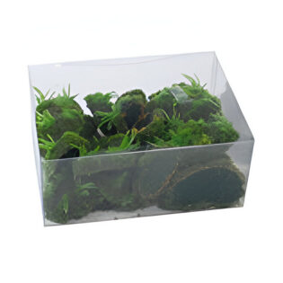 ΒΟΤΣΑΛΑ ΜΕ ΒΡΥΑ ΣΕ ΚΟΥΤΙ PVC 22,5 CM