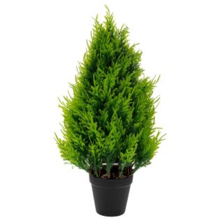 ΓΛΑΣΤΡΑ ΜΕ ΔΕΝΔΡΟ 25Χ48ΕΚ ΣΕ ΜΑΥΡΟ ΓΛΑΣΤΡΑΚΙ ΠΛΑΣΤΙΚΟ