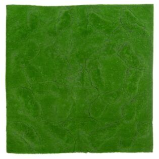 ΤΑΠΗΤΑΣ ΑΓΡΙΟ ΓΡΑΣΙΔΙ 100Χ100ΕΚ ΤΕΤΡΑΓΩΝΟΣ