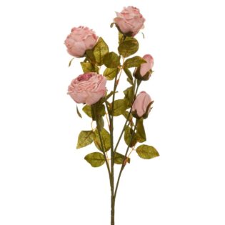 ΑΝΟΙΧΤΟ ΡΟΖ ΚΛΑΔΙ ΤΡΙΑΝΤΑΦΥΛΛΟ 70ΕΚ Χ5