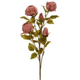 ΣΑΠΙΟ ΜΗΛΟ ΚΛΑΔΙ ΤΡΙΑΝΤΑΦΥΛΛΟ 70ΕΚ Χ5