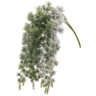 ΧΙΟΝΙΣΜΕΝΟ ΚΛΑΔΙ ΣΠΑΡΑΓΓΙ 50ΕΚ